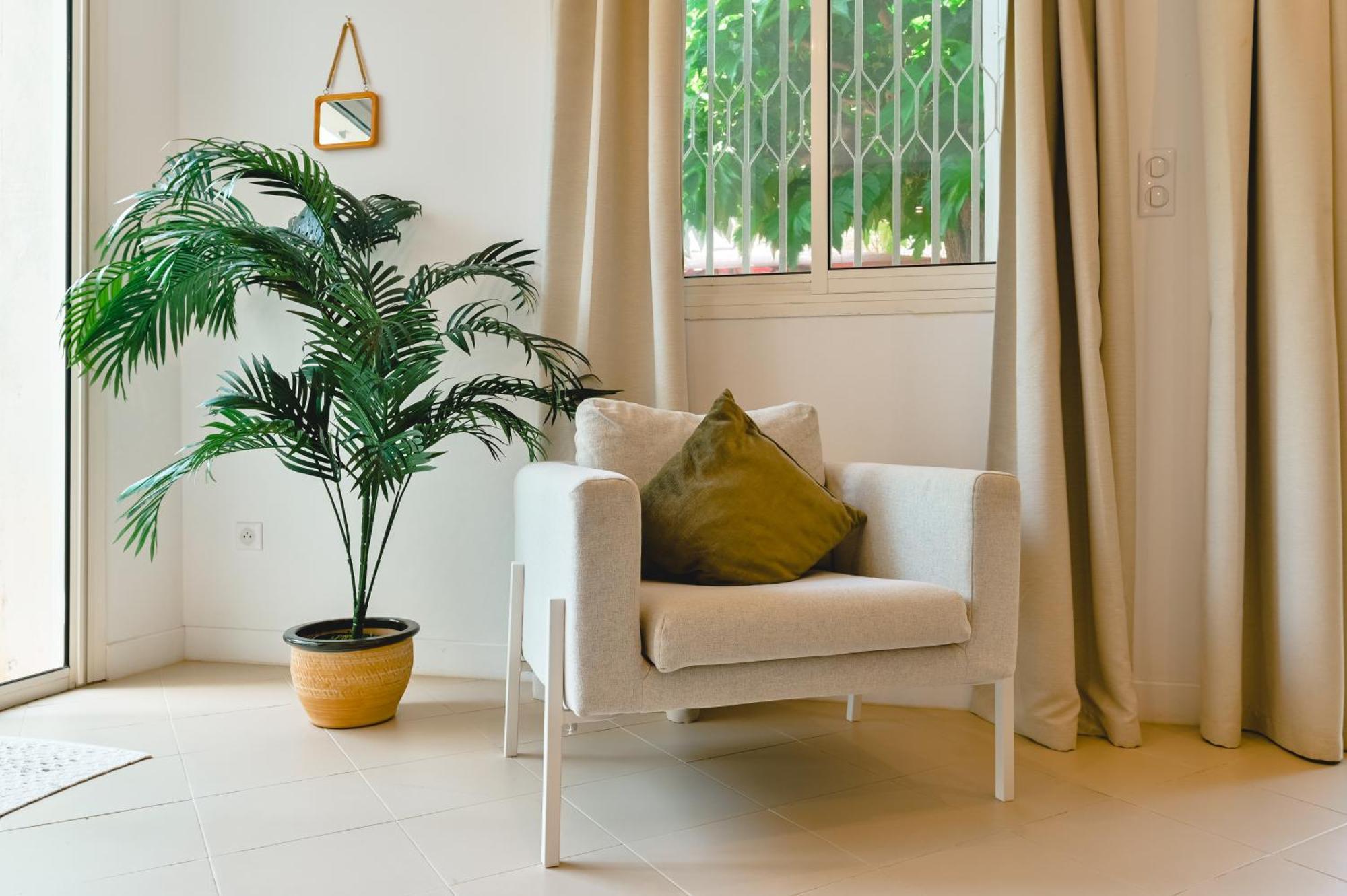 Appartement jardinet à 5 min des plages- Sanguinaires -Ajaccio Ajaccio  Extérieur photo