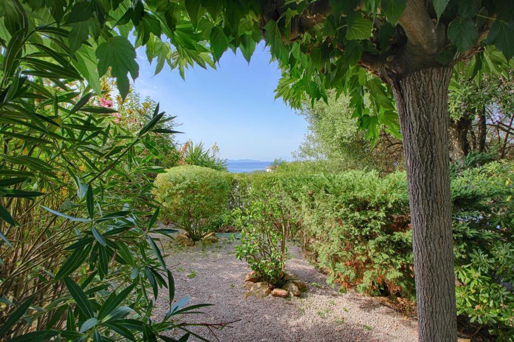 Appartement jardinet à 5 min des plages- Sanguinaires -Ajaccio Ajaccio  Extérieur photo